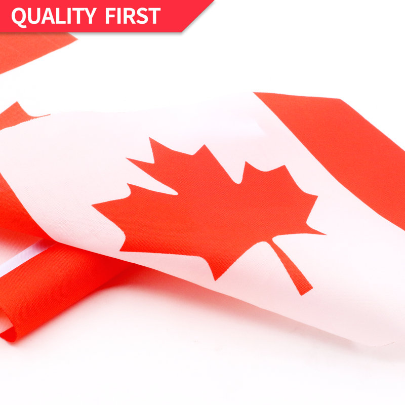Mini drapeau du Canada 5 x 8 po, petits drapeaux canadiens portatifs sur bâton