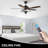 Fulham 52'' Ceiling Fan with Light Kit