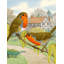 Polyester à 2 côtés 40 x 28 po drapeau maison European Robin