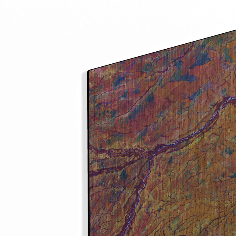 Brayden Studio® «Earth as Art: Capillary», art mural en métal, H 12 po x l 12 po