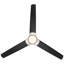 60'' Ceiling Fan with LED Lights-83109187