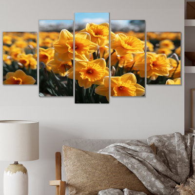 «Daffodils Field Yellow Vibrant I» sur toile, reproduction de 5 pièces