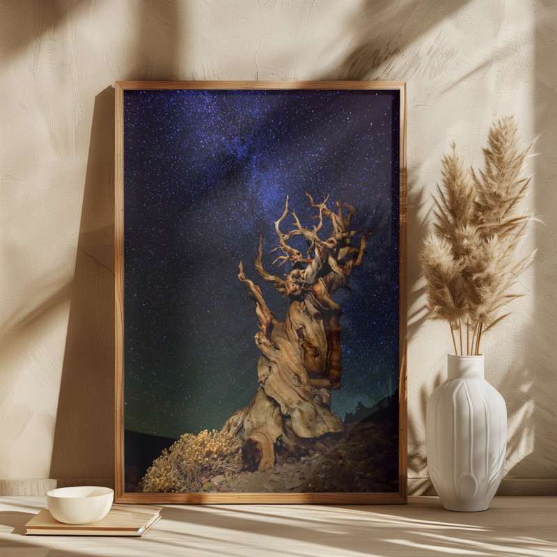 Wrapped Canvas Print, 76.2 cm H x 50.8 cm W