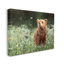Conception d'art sur toile Stupell Industries Bear & Butterfly in Meadow par Mark Kelso-91326026-91326029
