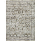 Bonney Oriental Indoor Rug