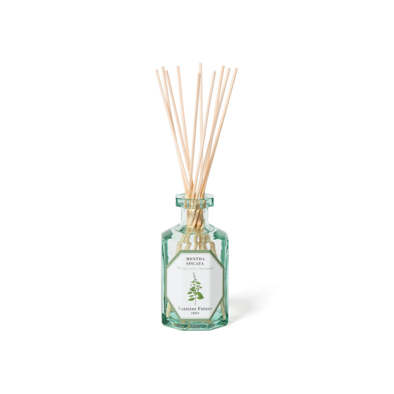Rose Mint Diffuser, Spearmint
