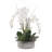 Orchid Arrangement in Pot