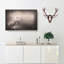 Light Upon The Barn Owl - Wrapped Canvas Painting-55365593