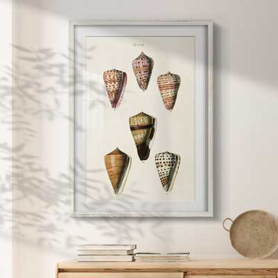 Kennelly -Gallery Wrapped Canvas