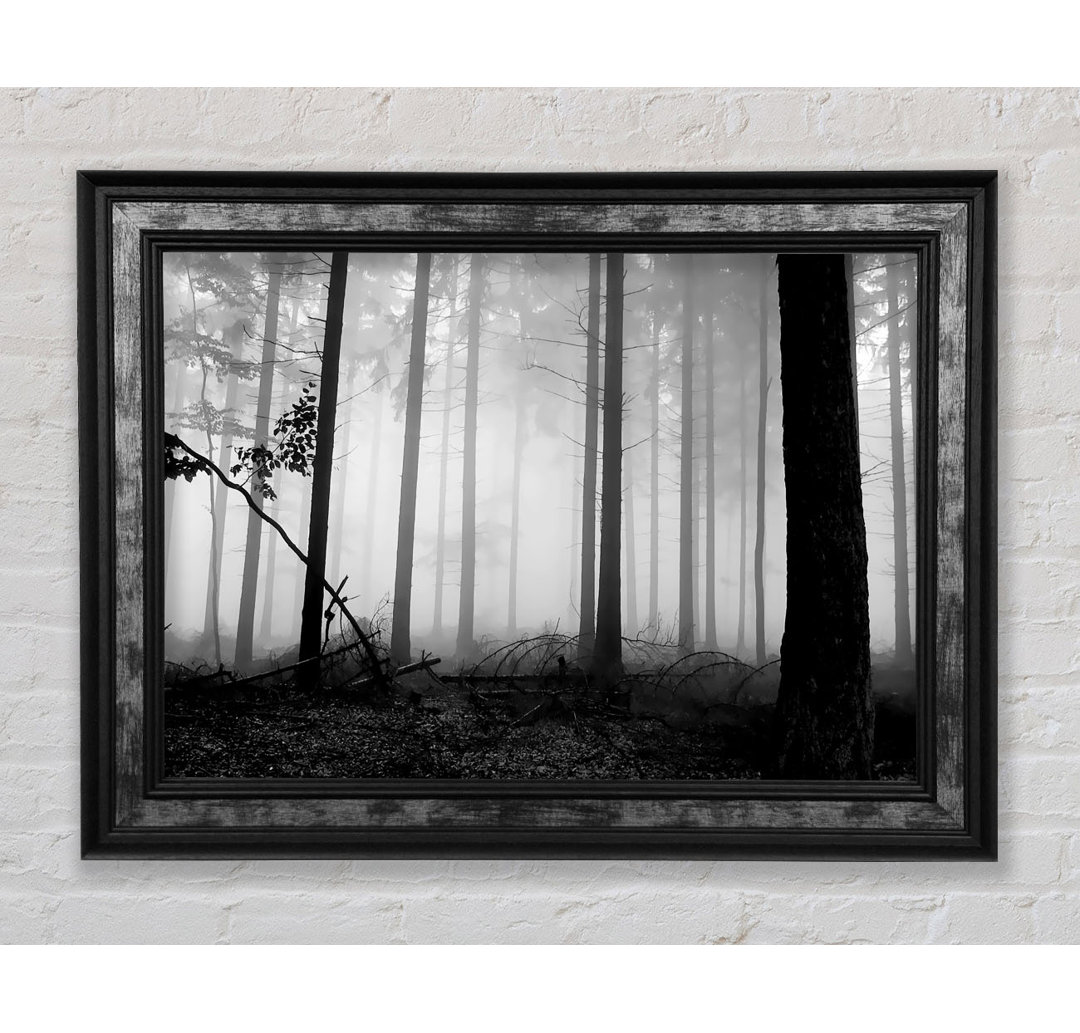 Black N White Woodland Mist - Druck