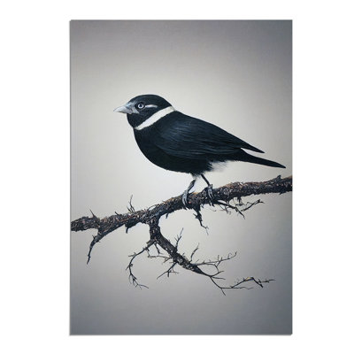 Bird Upon A Tree - Wall Art