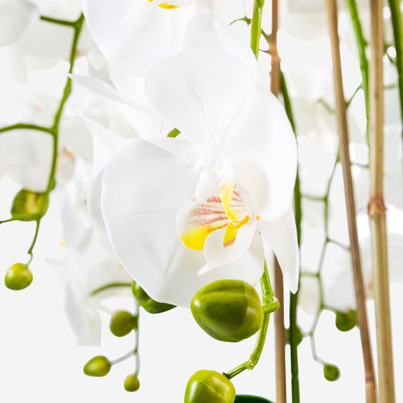 Abigail Gold Realtouch Orchid, White