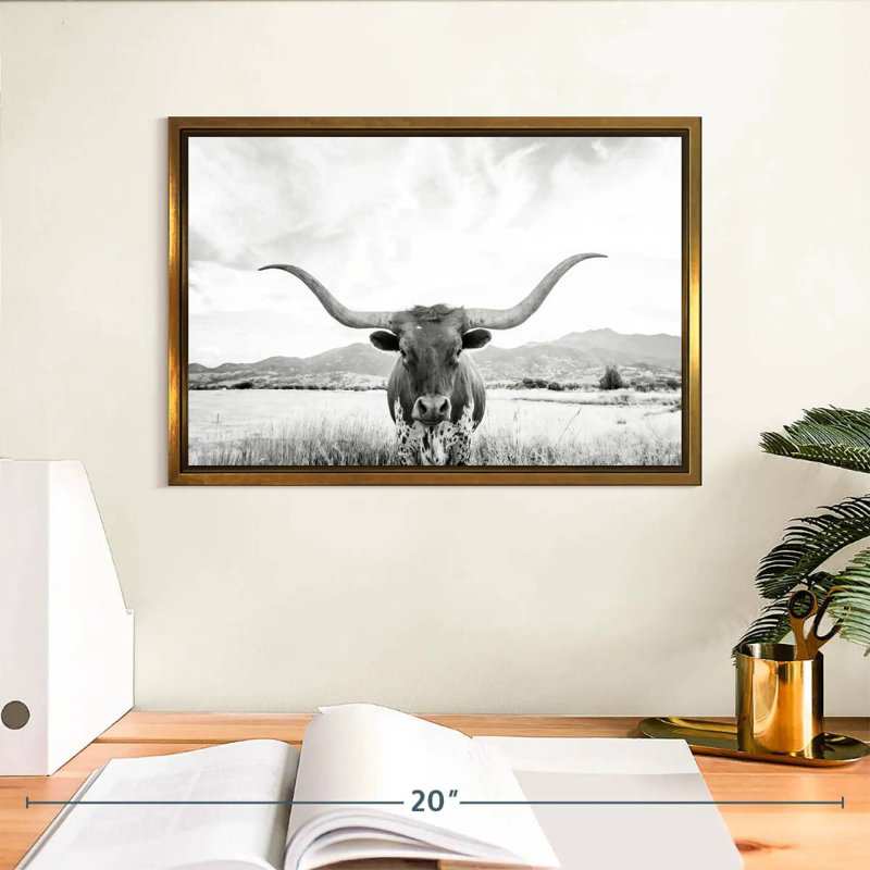 Longhorn Texas BW, Cadre flottant doré, 13 po x 9 po