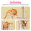 Grand condo 64 "pour chat-824785023-848029376