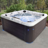 Insight 7-Person 34-Jet, 86-Port Acrylic Non-Lounger Hot Tub Spa, Stainless Steel Heater with Ozonator, LED Lighting, LED Ice Bucket and Insulated Cover Included