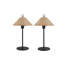 Ensemble de 2 lampes de table ARDEN