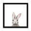 Art encadré en lapins forestières-48188938-48188939