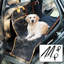Housse pour siège d'auto pour chien-51168229