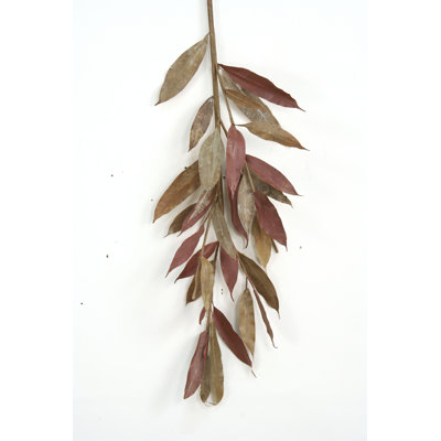 Petite branche myrtle naturelle