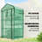 Mini Greenhouse with Screen Roof, Portable Small Greenhouse, Green-123764093-124526371