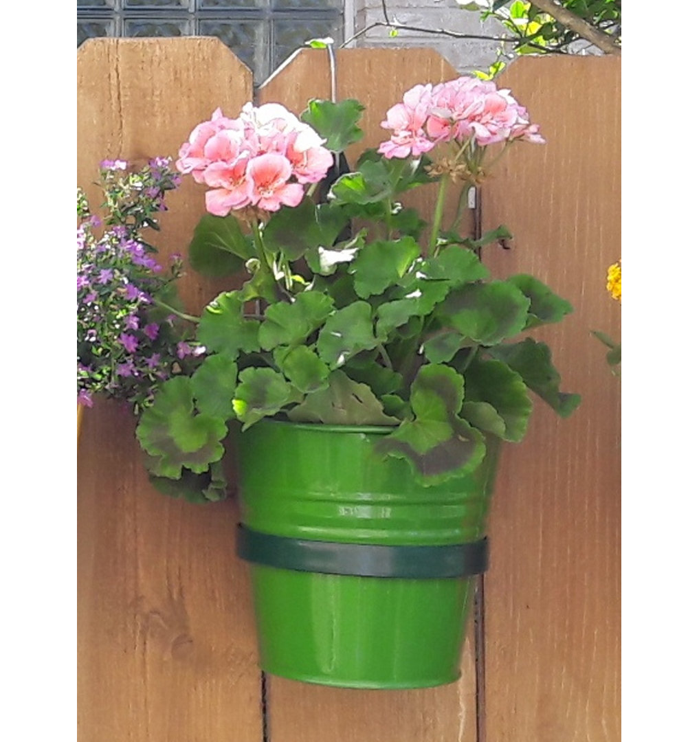 Serra Metal Railing Planter Red Barrel Studio® 