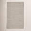 Chael Area Rug in Light Gray-892567555