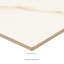 Ardena 24 in. x 24 in. Polished Porcelain Stone Look Floor and Wall Tile-98034455