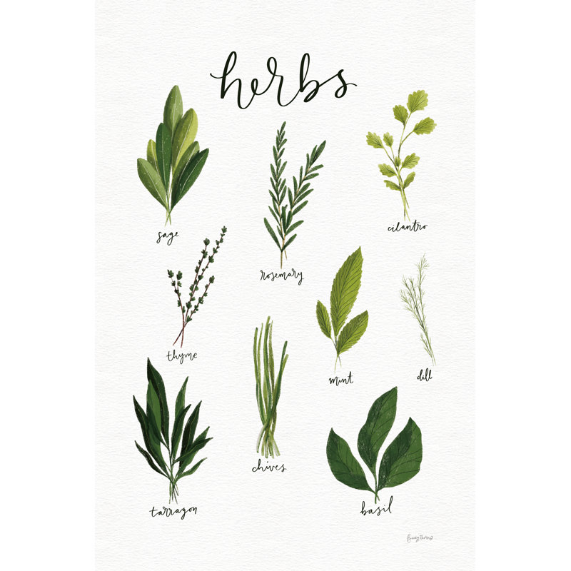 «Herbs I White» par Becky Thorns - impression sur toile tendue, H 48 po x l 32 po