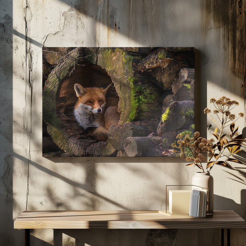 Wrapped Canvas Print, 50.8 cm H x 76.2 cm W