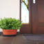 20 paquets de plantes artificielles vertes pour l'extérieur Printemps Été Décoration Résistant aux UV Faux blé Herbe Arbustes Eucalyptus Faux plantes en plastique Jardin Porche Décoration de boîte de fenêtre
