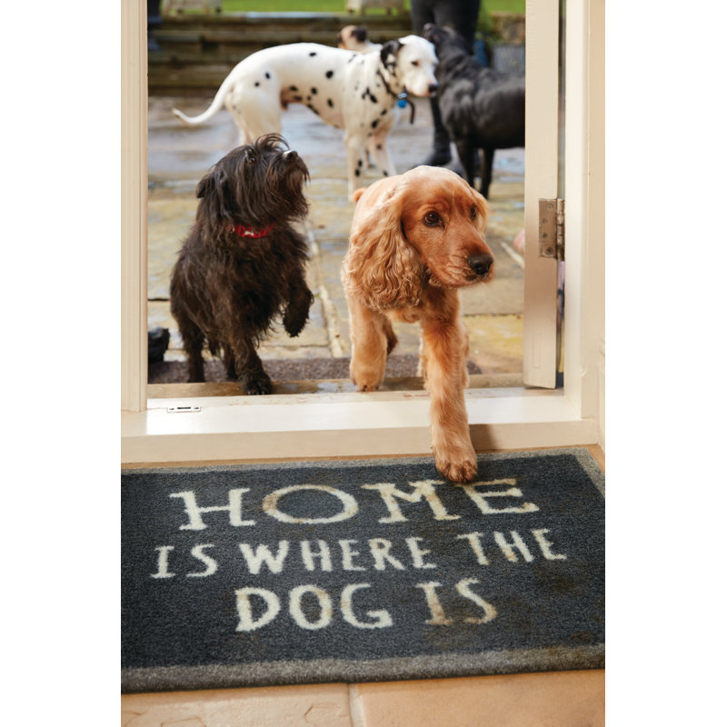 Non-Slip Indoor Doormat