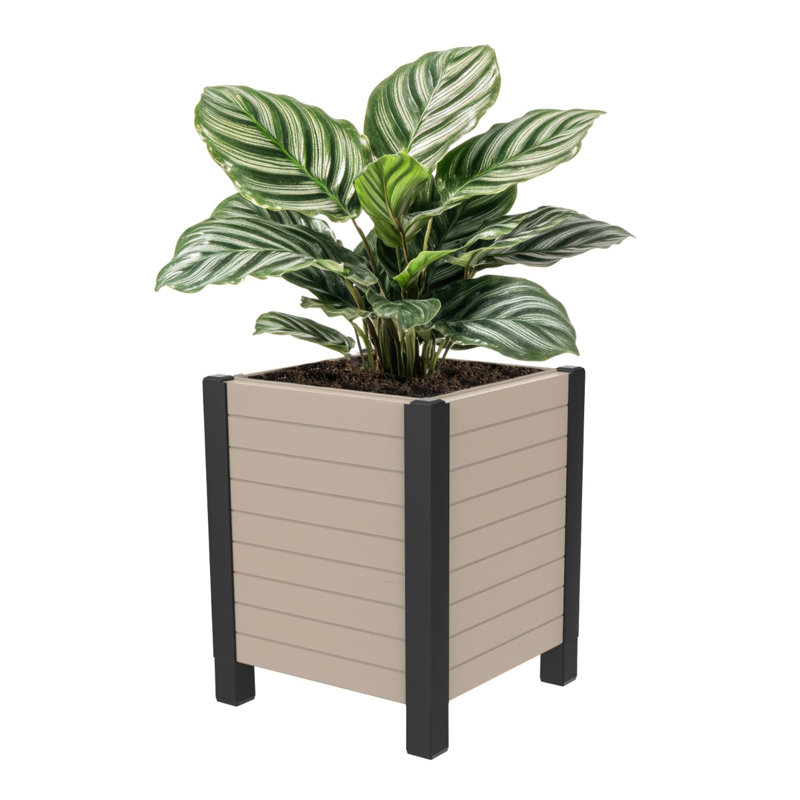  17-Inch x 17-Inch Flora Cube Planter Box for Patios or Decks, Khaki, Cream