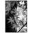 Japanese Maple Print -86679541-86859317