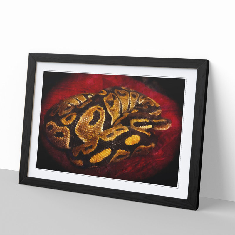 Python Snake - Framed Print, 27cm H x 36cm W x 2cm D, Black Framed