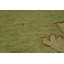 Tapis turc vert Oushak 10 x 14