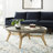 Single Coffee Table