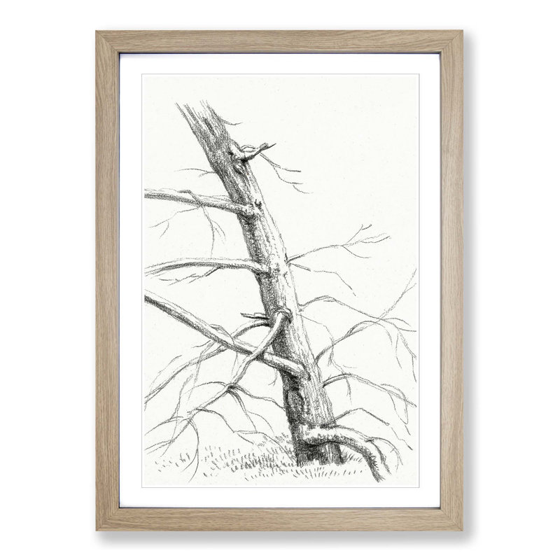 Study of a Tree by Jean Bernard - Picture Frame Painting Print, Oak Framed, 65cm H x 48cm W x 2cm D