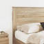 Headboard-1703146477-1703146473
