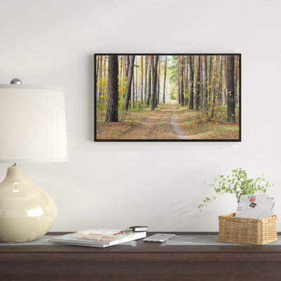 " Pathway in Autumn Pine Forest " Color Photography Print