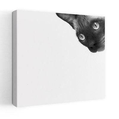 «Be Brave», art contemporain pour chat