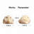 Wealth-Attracting Golden Toad - Exquisite Chinese Ceramic Decor