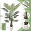 182.9cm Faux Palm Tree in Vase