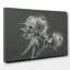 Thistle - Wrapped Canvas-19096601