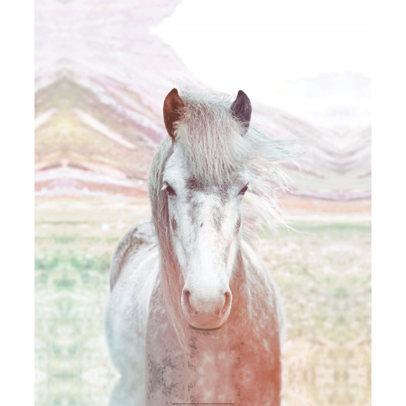 Whimsical Horse - Painting Print, 76cm H x 51cm W, Black Floater Framed