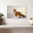 Brampt Majestic Fox-108817023