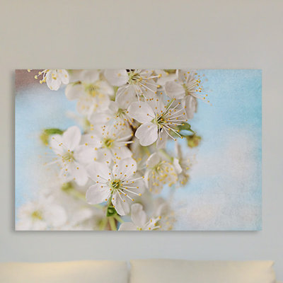 " Springtime " by Sylvia Cook
