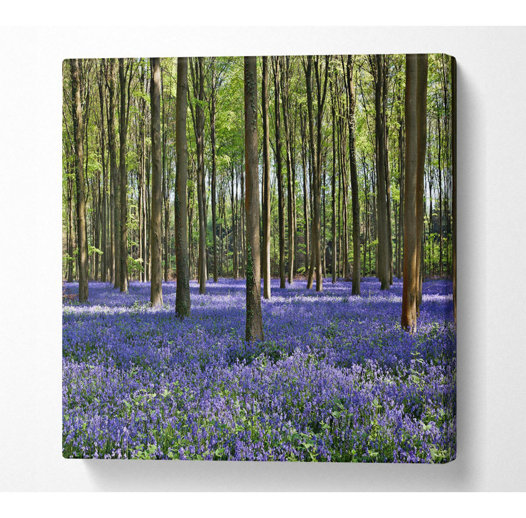 Wunderschöne lila Blumen im Wald - Kunstdrucke auf Leinwand