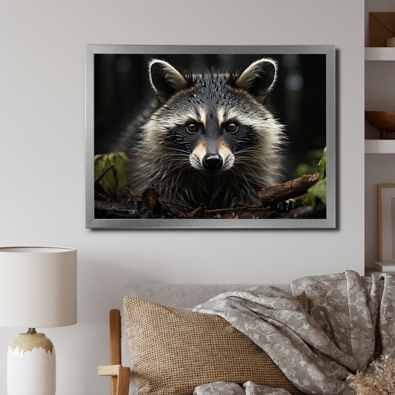 Curious Raccoon II sur impression sur toile, H 24 po x l 32 po x P 1 po, Cadre photo argenté