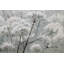 Hand-painted misty flowers acrylic painting