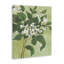 Toile Verdant Branch Blossoms, conception de June Erica Vess-1895748430